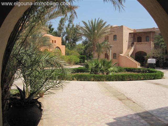 View from the terrace